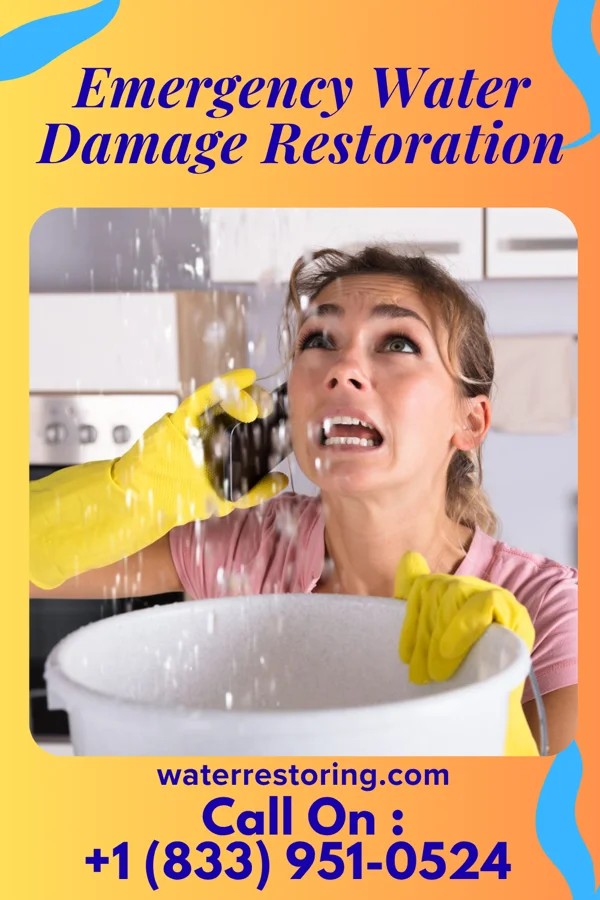Emergency Water Damage Restoration in Scottsville, KY