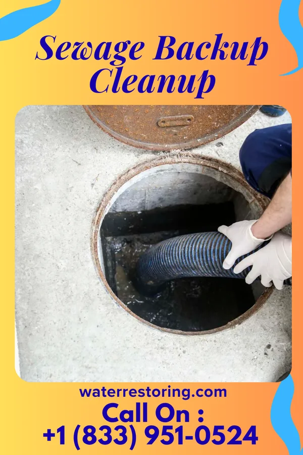 Sewage Backup Cleanup in Scottsville, KY